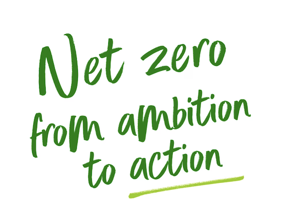 netZero